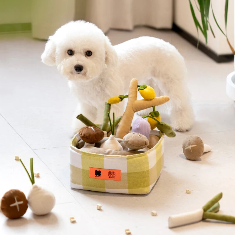 Snuffle Toys Set Vegetable-Shape