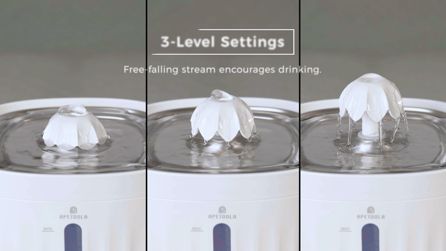 Pet Fountain Automatic Water Dispenser