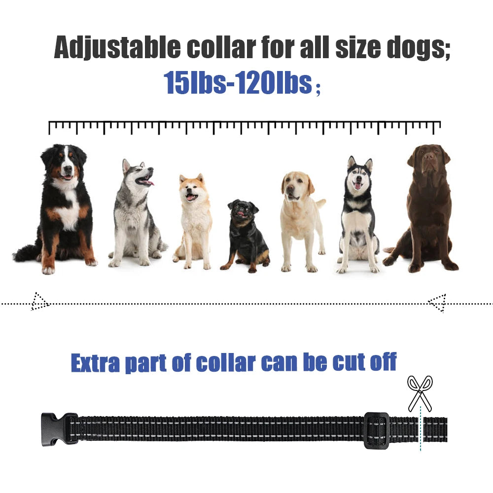 Electric Dog Training Collar