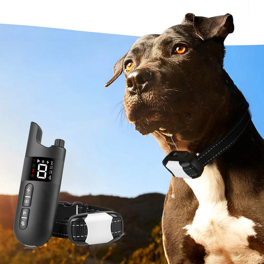 Remote Control Training Dog Collar