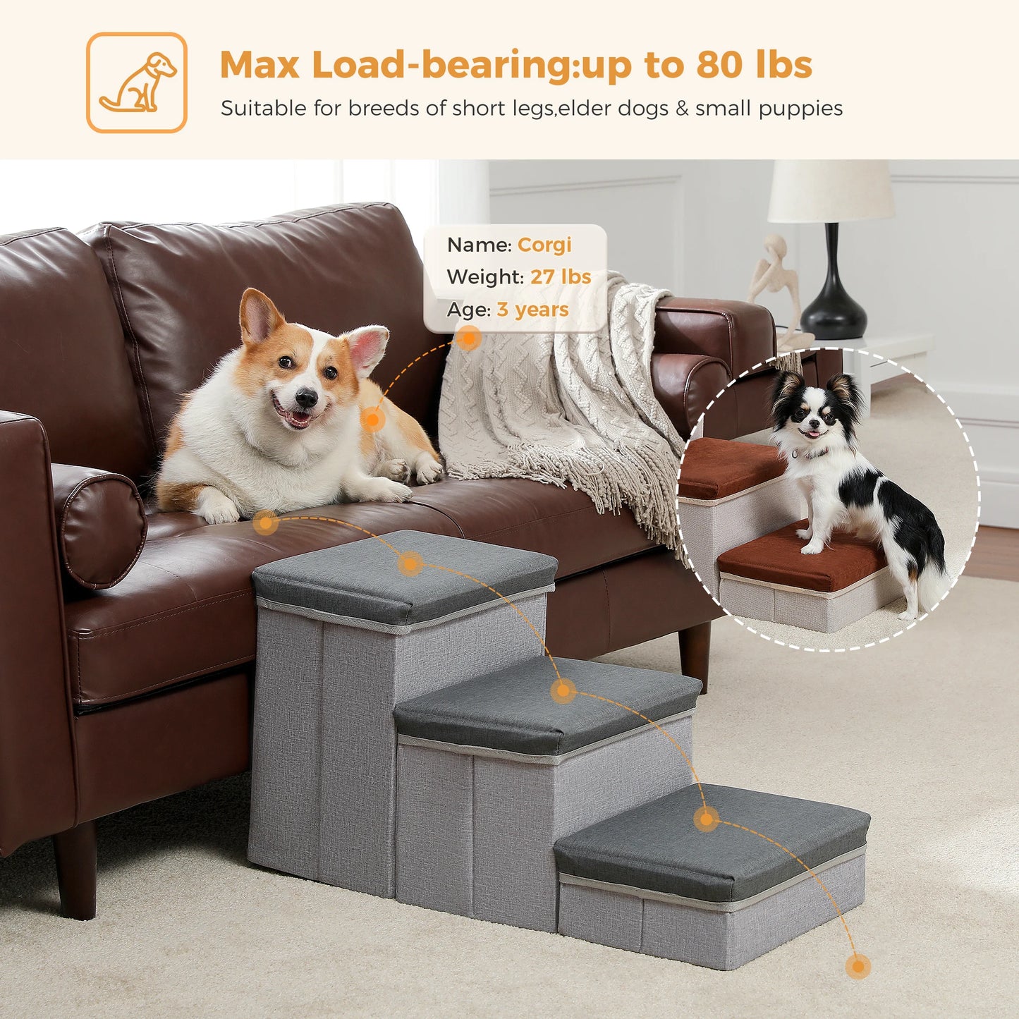 Foldable 2 in 1 Pet Steps Stair