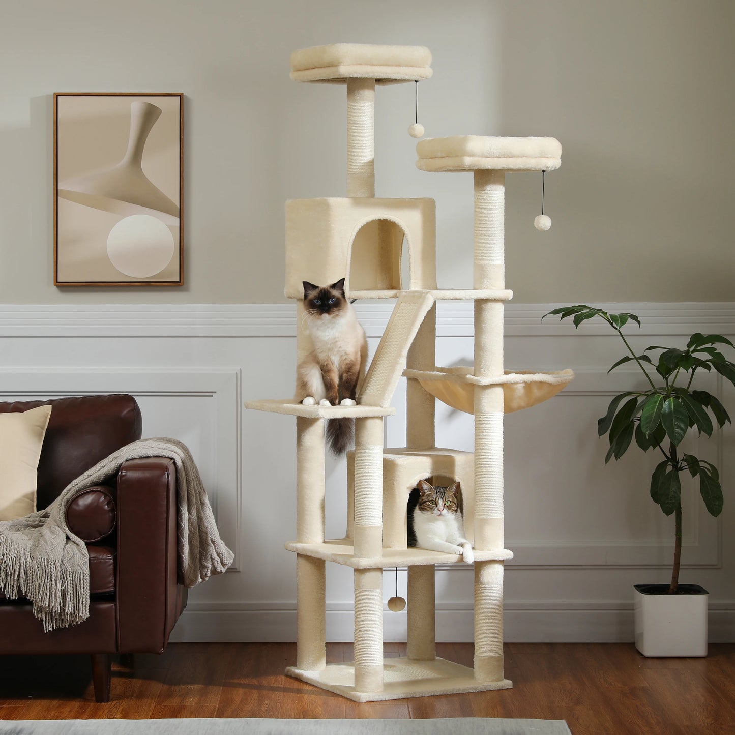 Multi-Level Cat Tree Condo