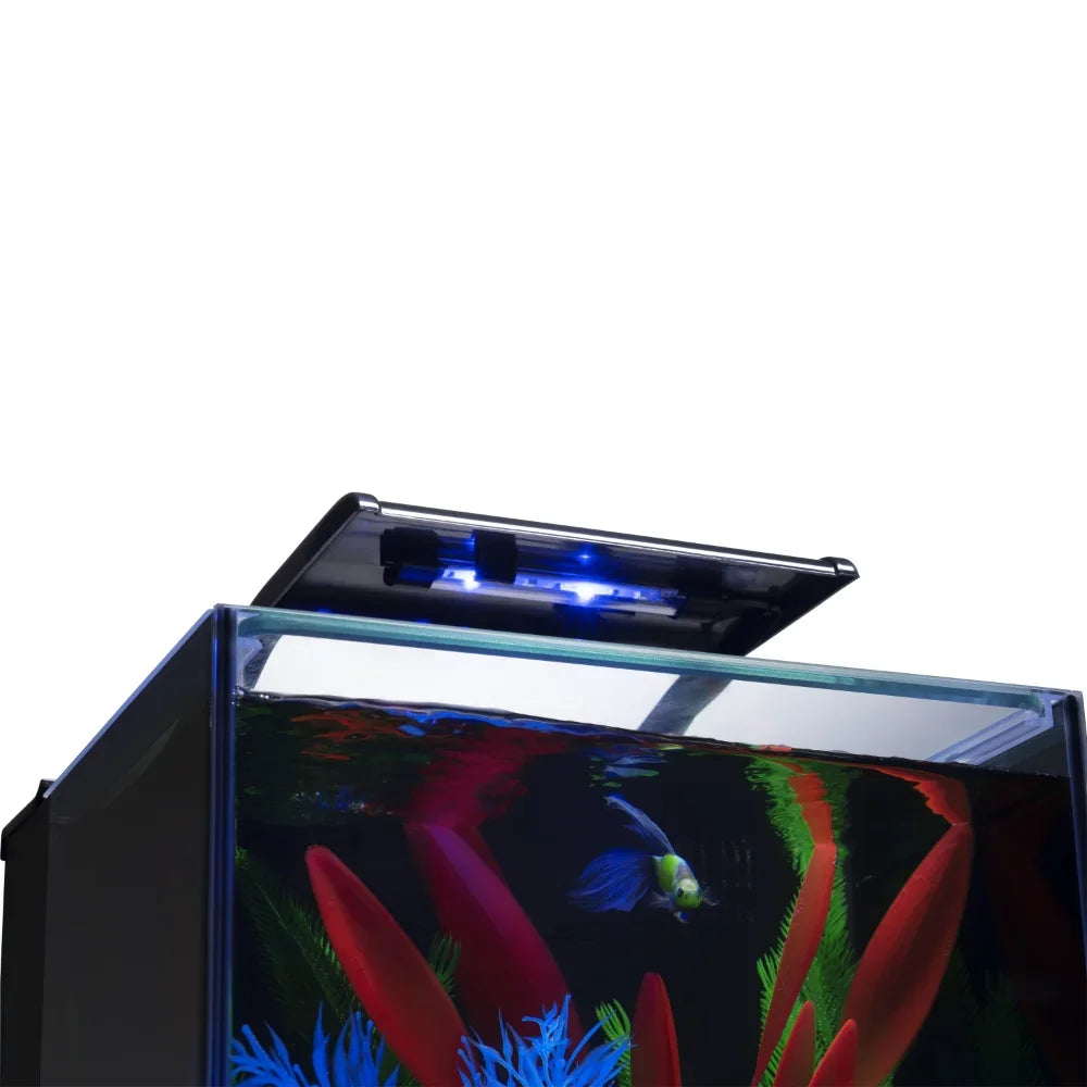 Aquarium Kit 3 Gallons