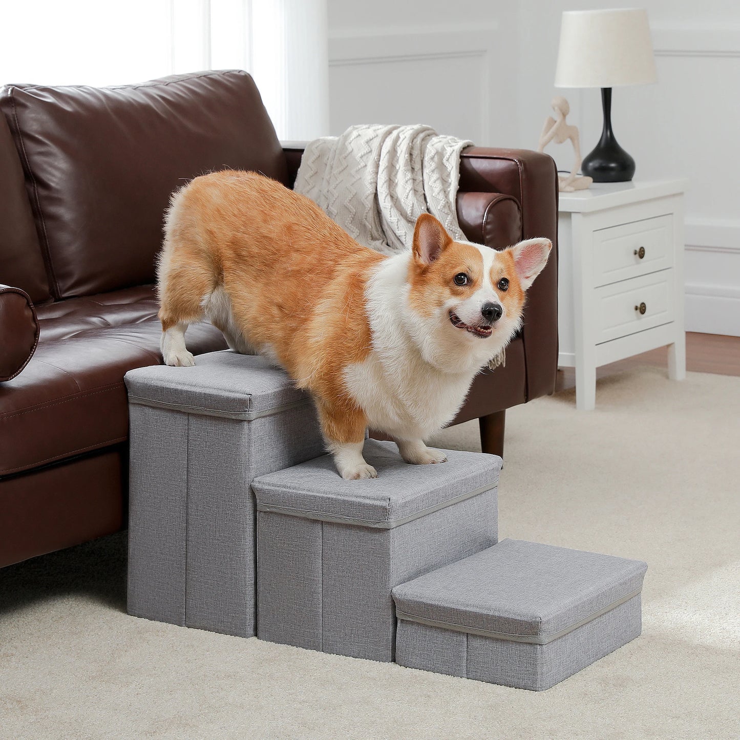 Foldable 2 in 1 Pet Steps Stair