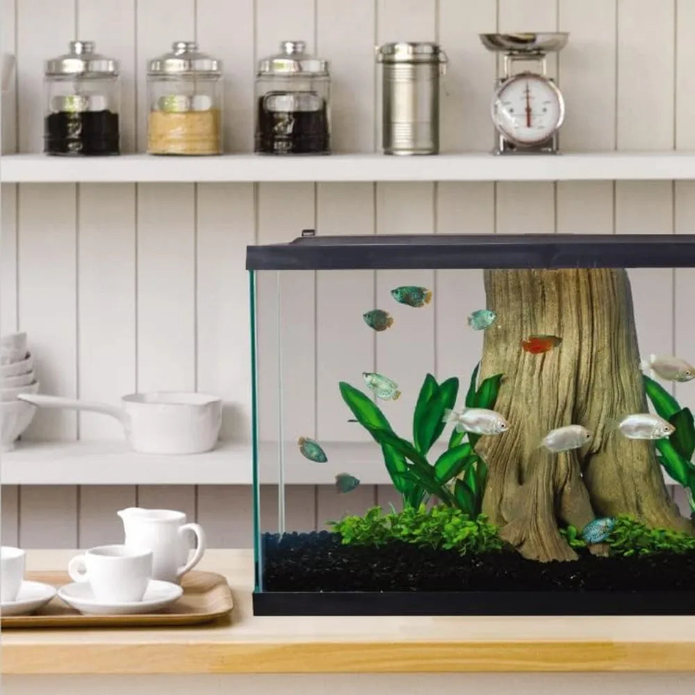 Aquarium Complete Fish Tank
