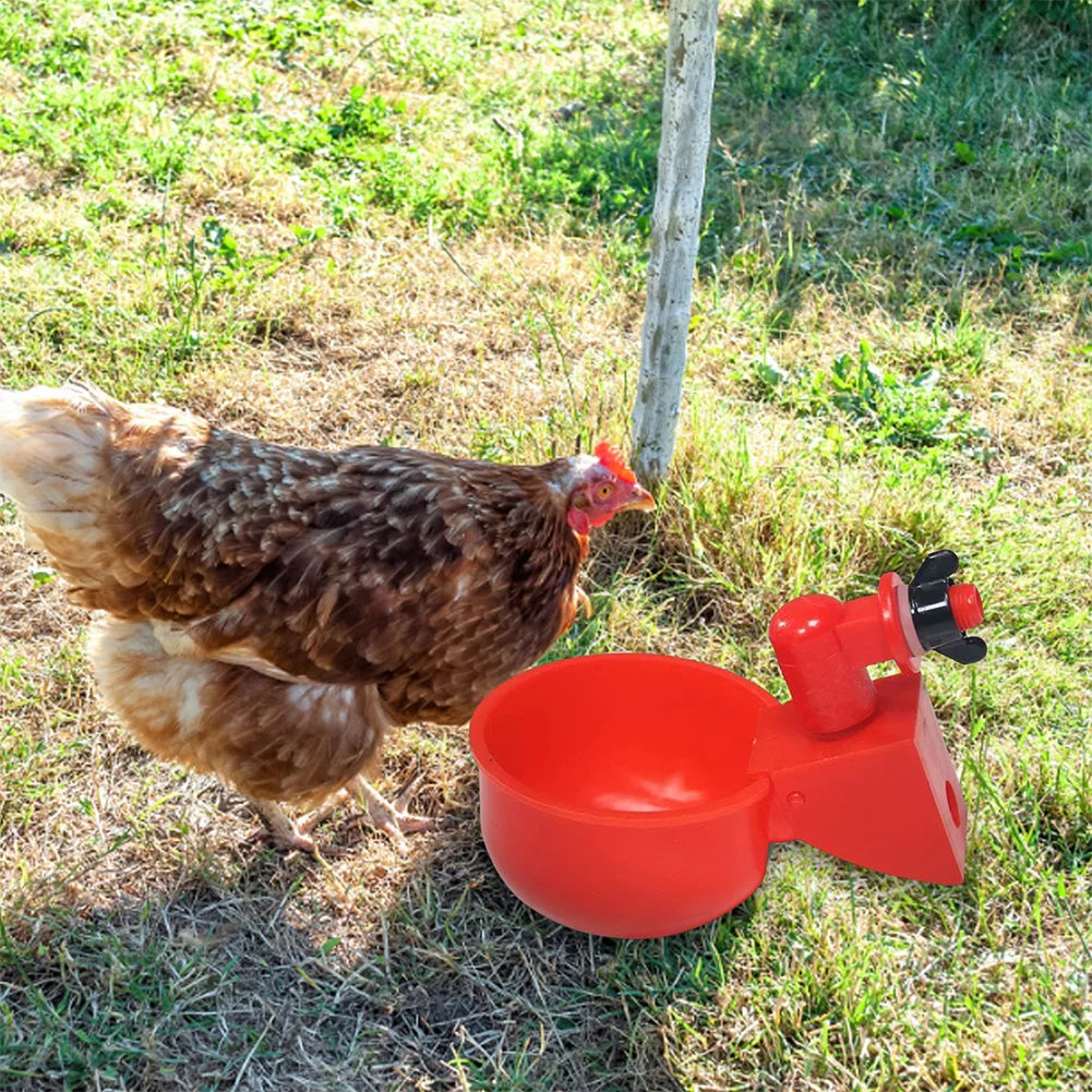 6-48pcs Chicken Duck Drinking Cup Chicken Feeder