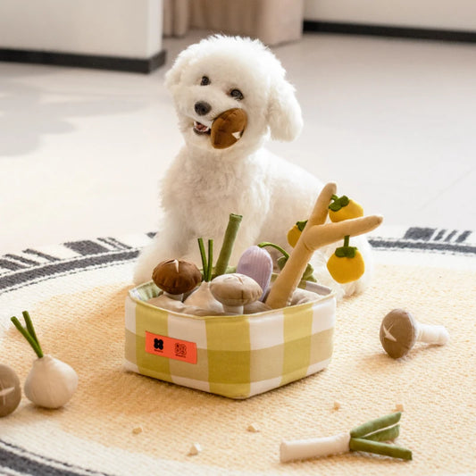 Snuffle Toys Set Vegetable-Shape