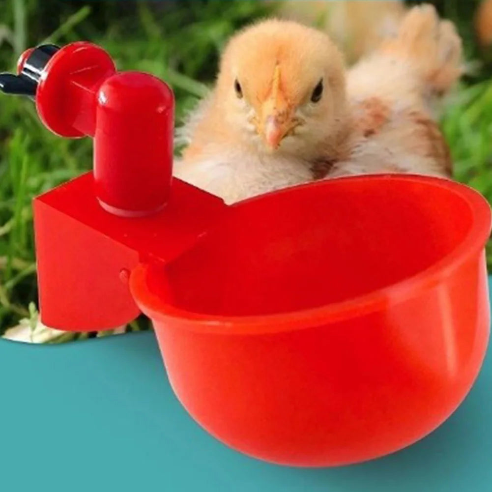 6-48pcs Chicken Duck Drinking Cup Chicken Feeder