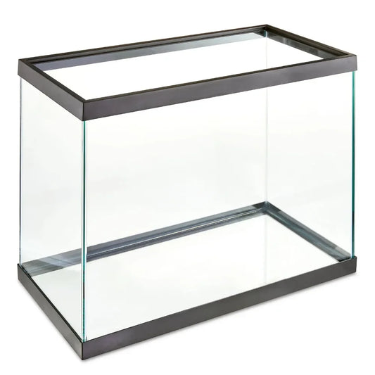 Glass Fish Aquarium