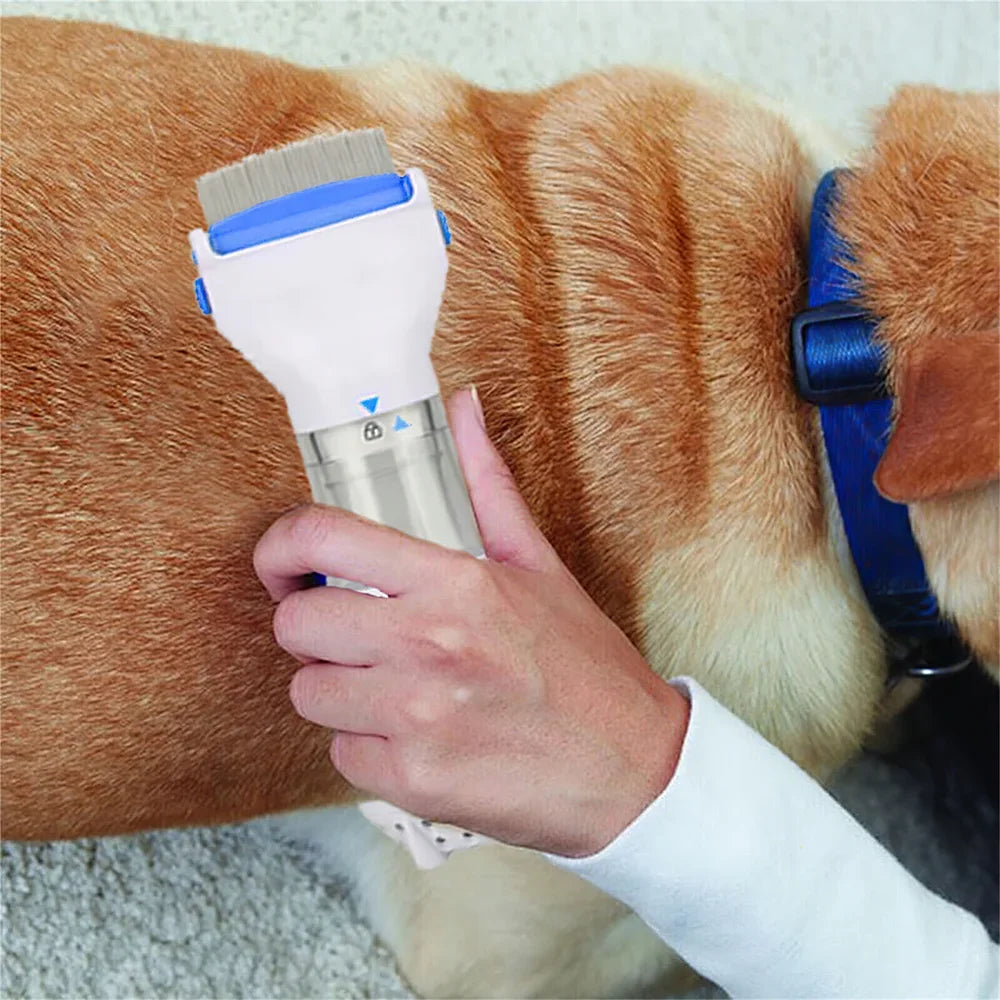 Electric Flea & Lice Removal Killer Brush