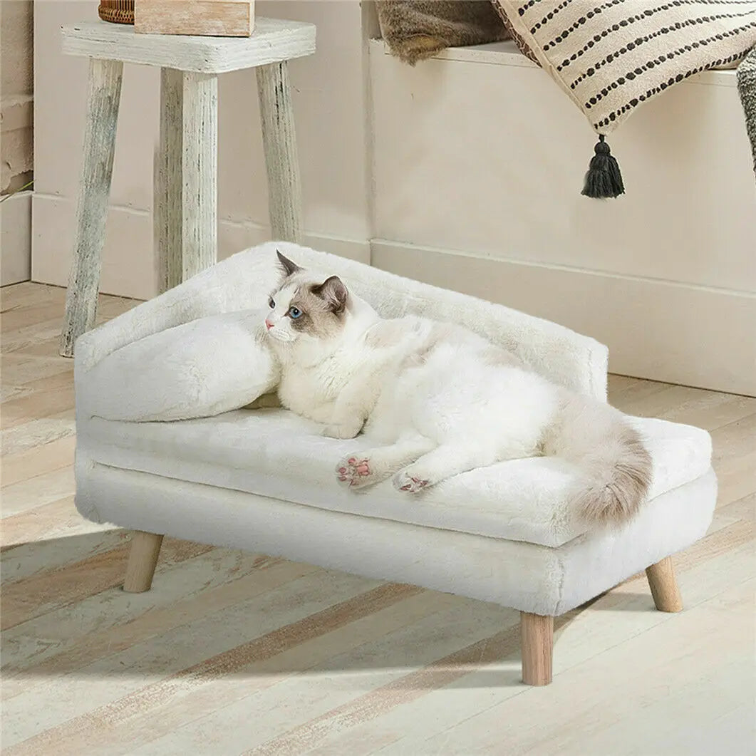 Elevated Pet Bed