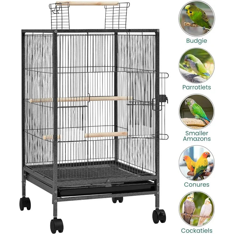 Iron Bird Cage