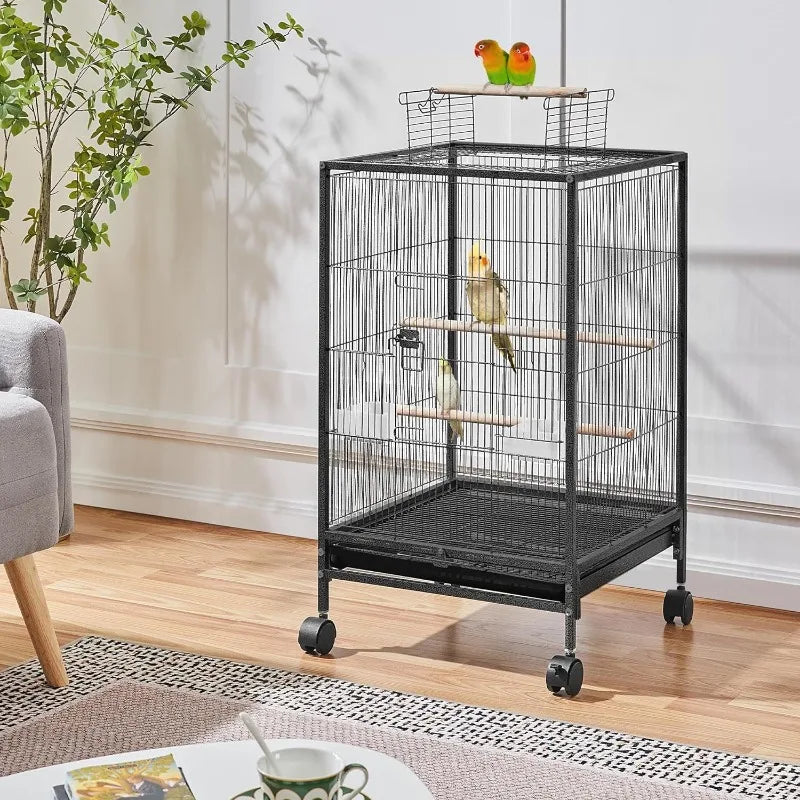 Iron Bird Cage