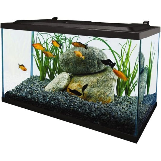 Aquarium Complete Fish Tank
