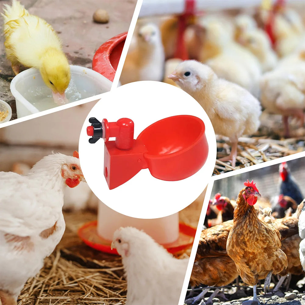 6-48pcs Chicken Duck Drinking Cup Chicken Feeder