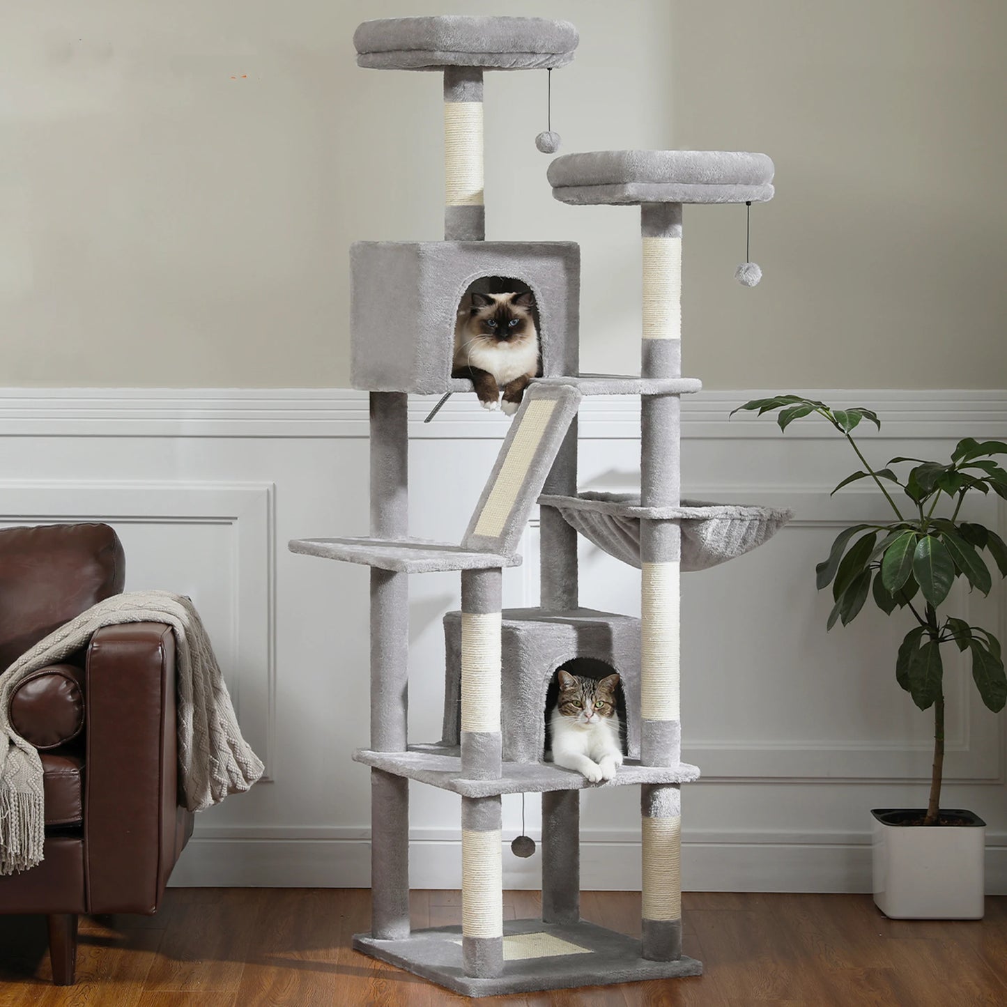 Multi-Level Cat Tree Condo