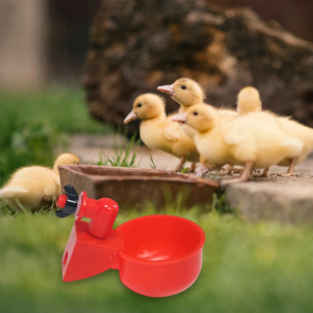 6-48pcs Chicken Duck Drinking Cup Chicken Feeder