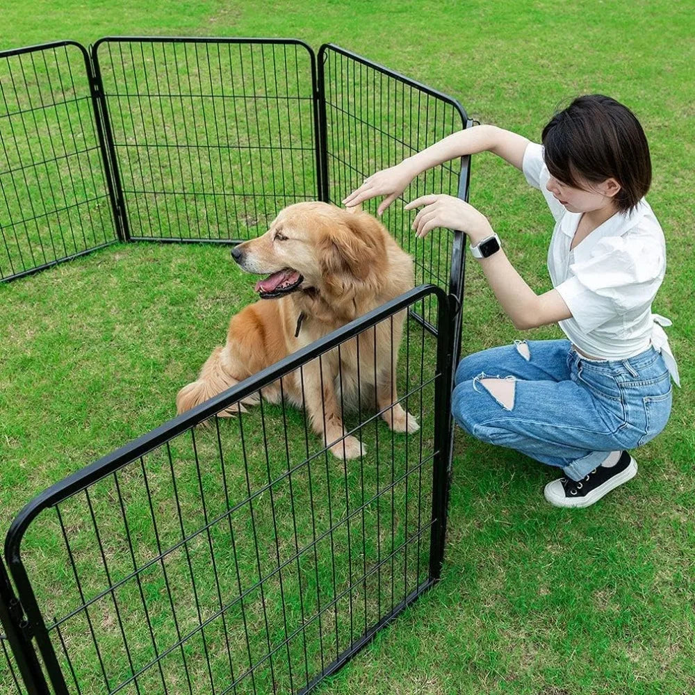 Dog Playpen Metal Fence With Doors