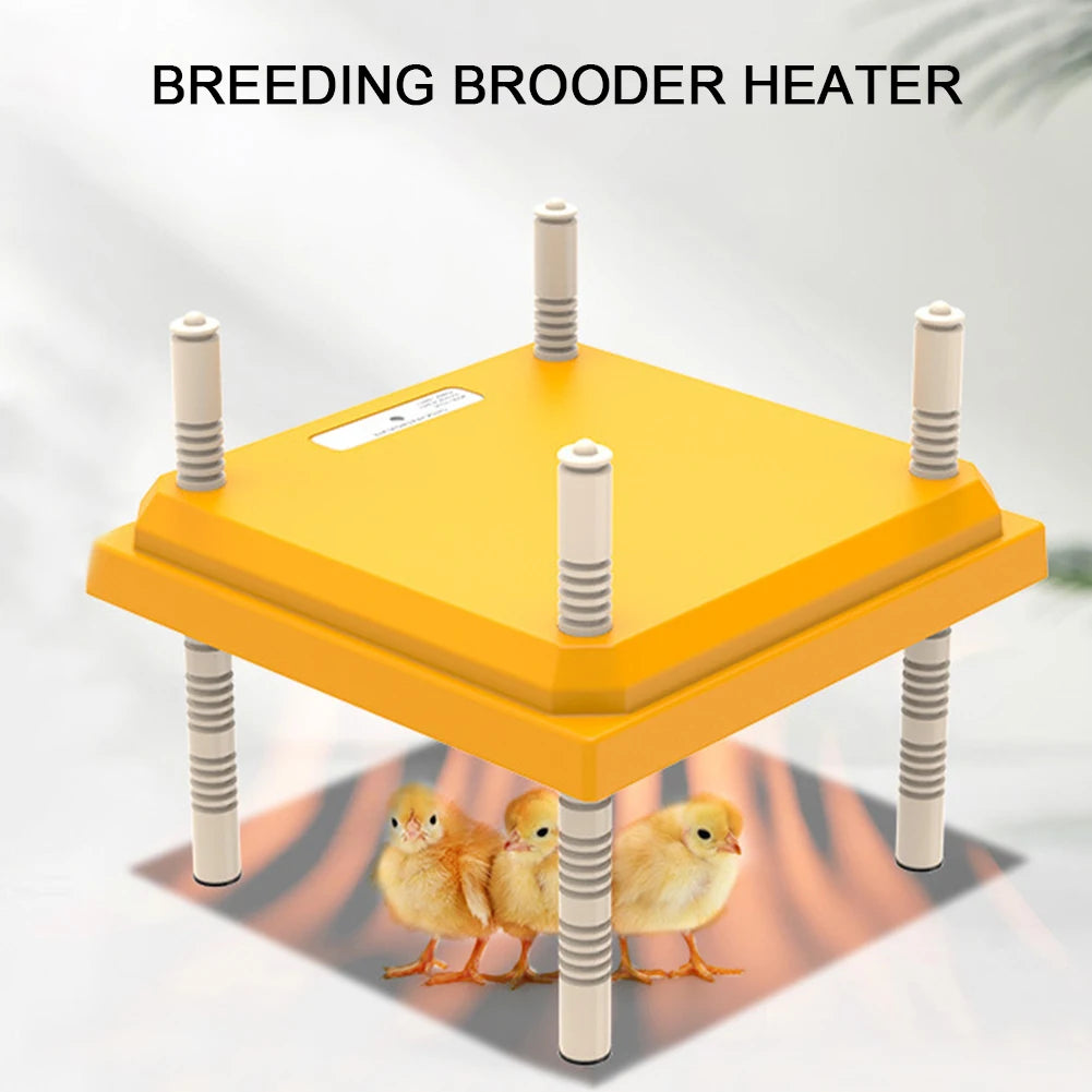 15W Chick Heater Brooder