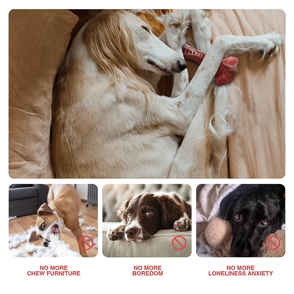 Interactive Dog Toy Teeth Cleaning
