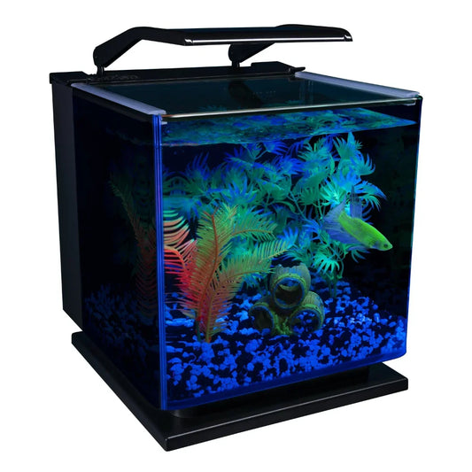 Aquarium Kit 3 Gallons
