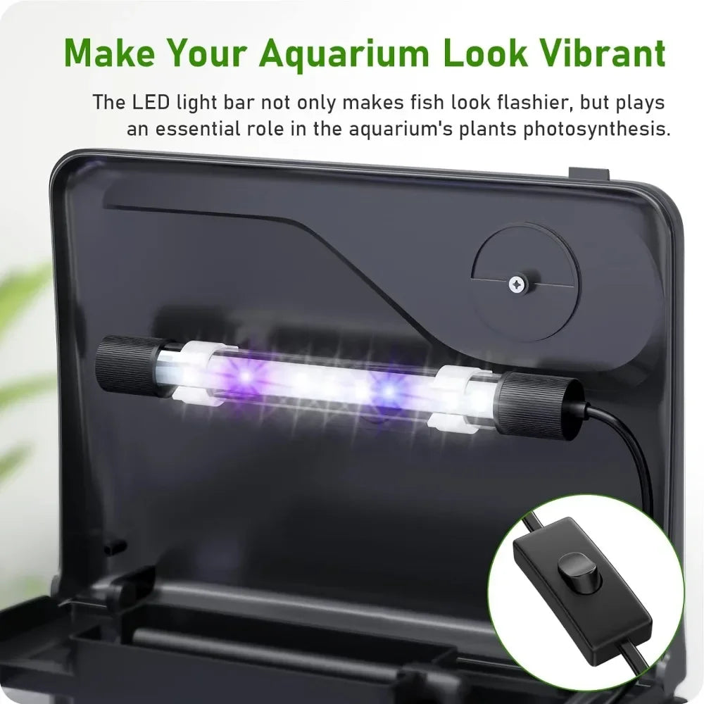 3 in 1 Fish Tank