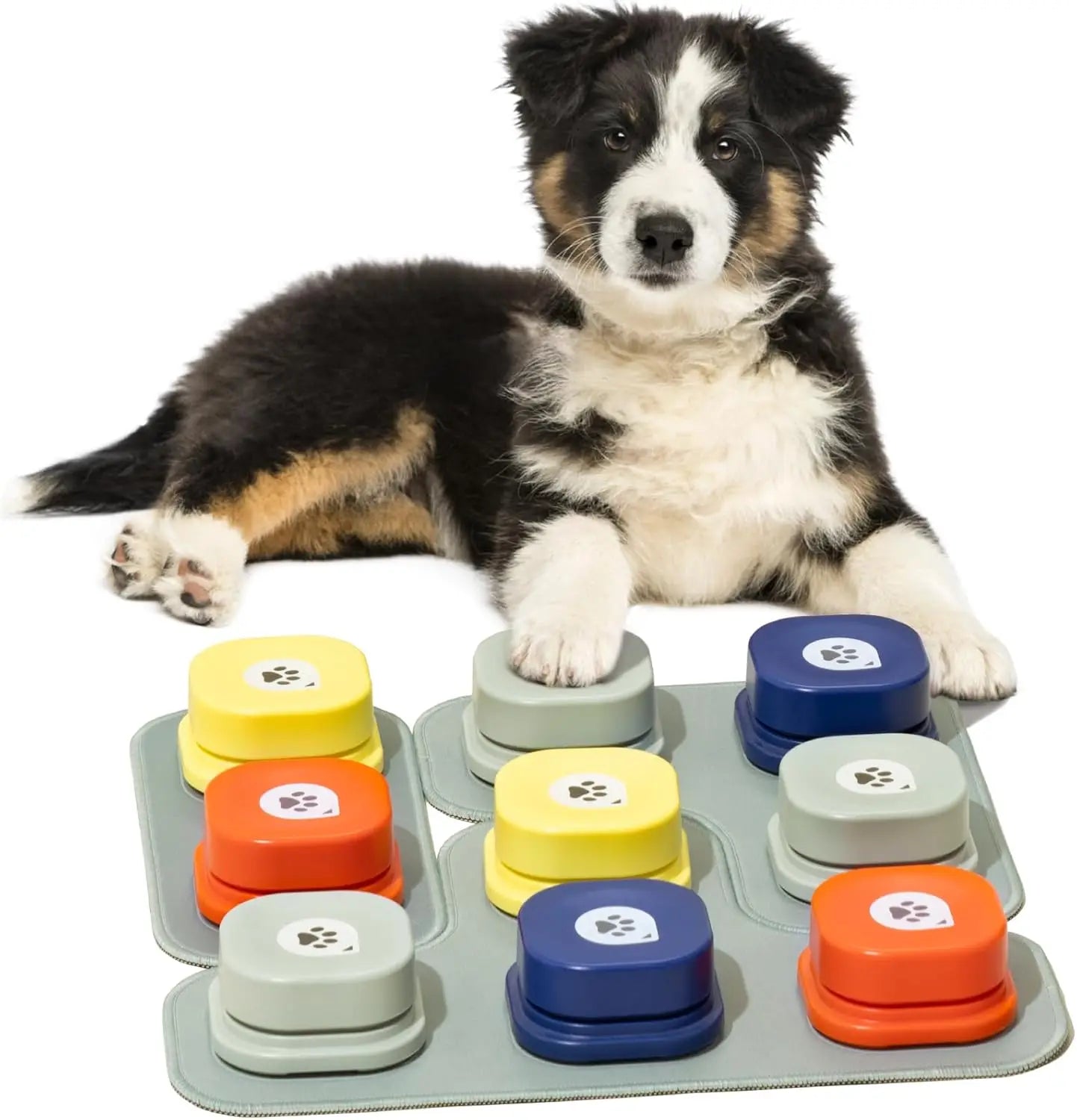 Pet Toy Button Record Communication