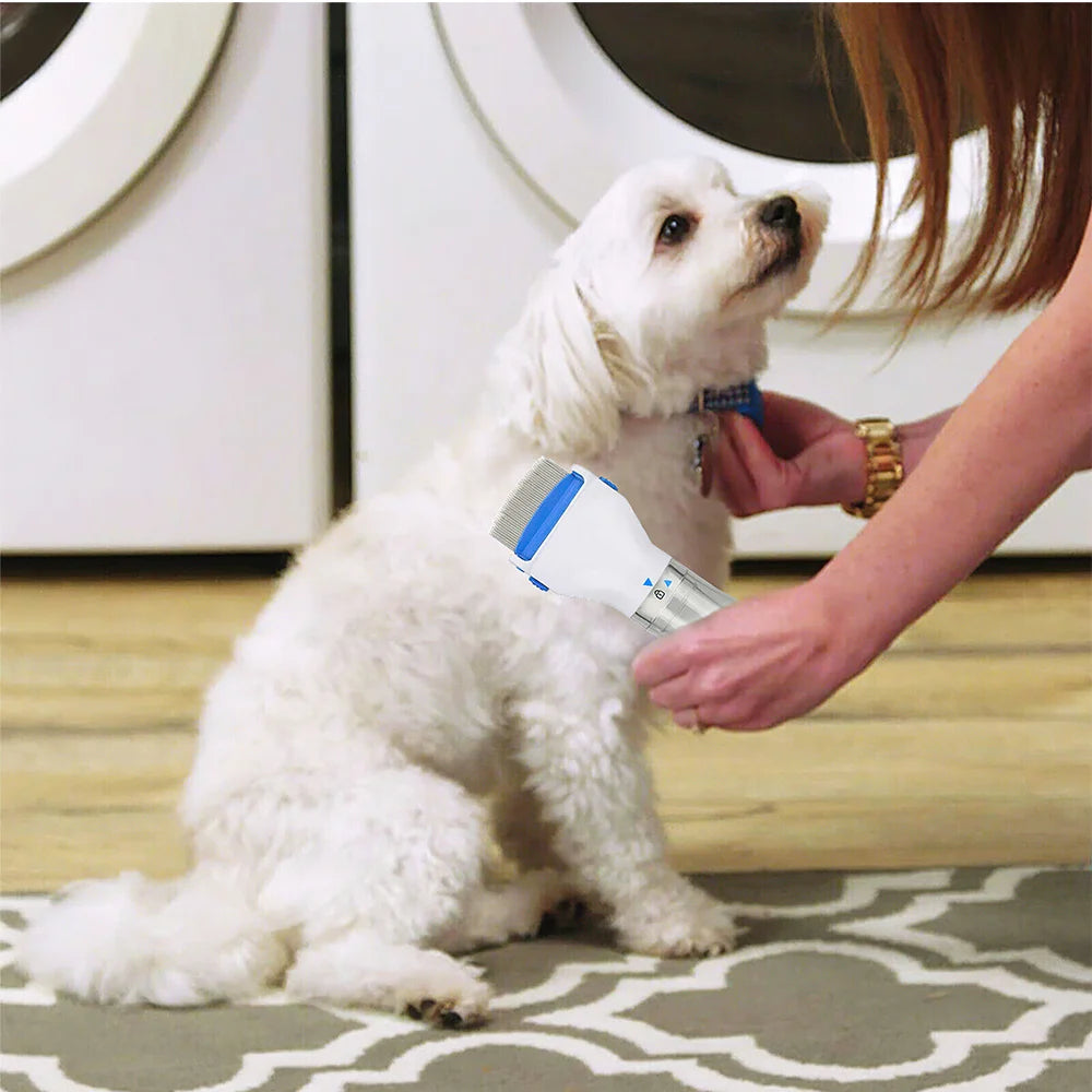 Electric Flea & Lice Removal Killer Brush