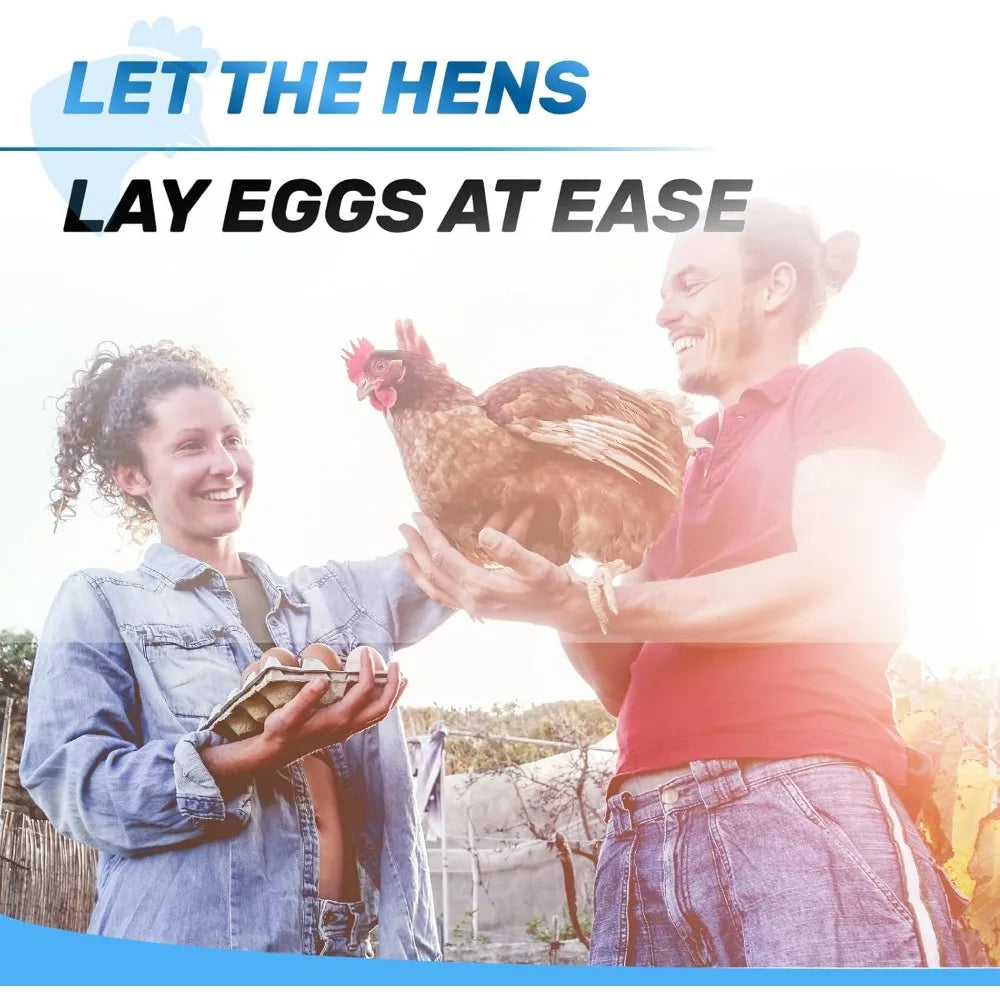 Chicken Nesting Box 6 Compartments