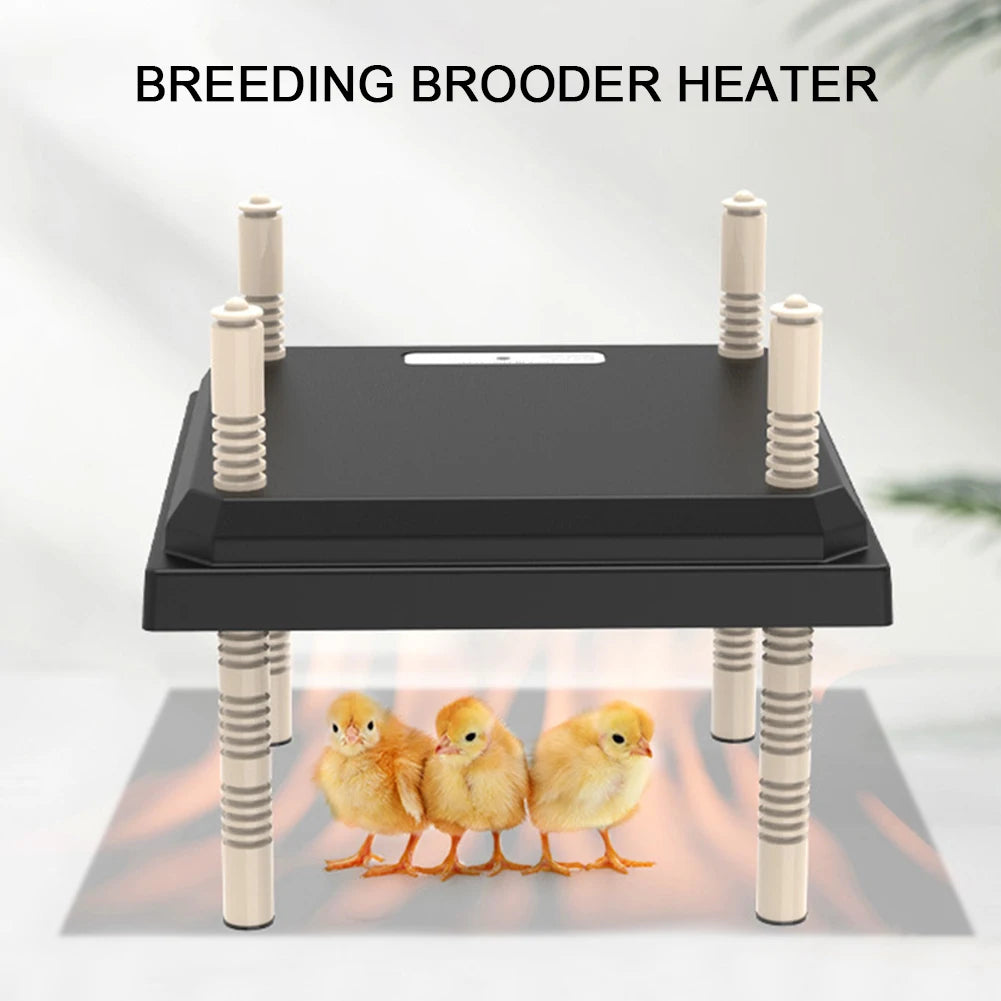 15W Chick Heater Brooder